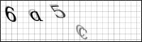 Captcha Bild