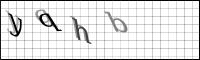 Captcha Bild