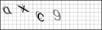 Captcha Bild