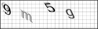 Captcha Bild