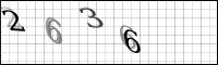Captcha Bild